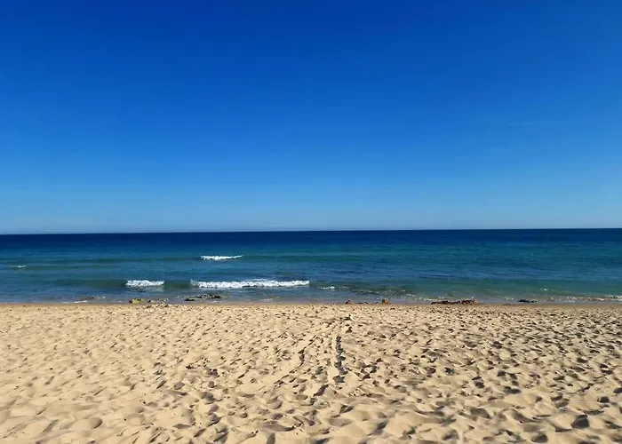 Jasmine Next To Meia Lagos