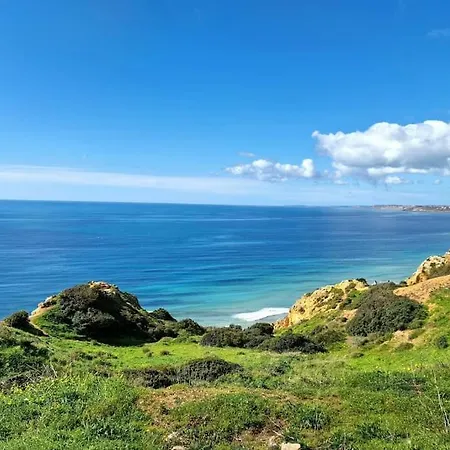 Jasmine Next To Meia