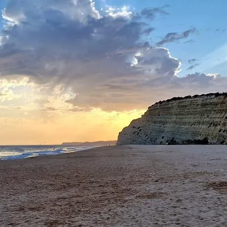 Jasmine Next To Meia *