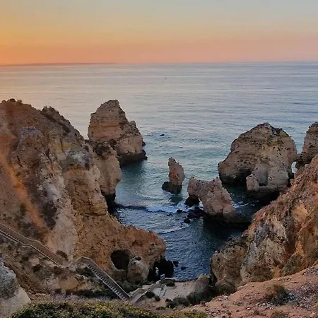 Jasmine Next To Meia