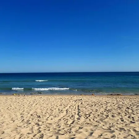 Jasmine Next To Meia Lagos