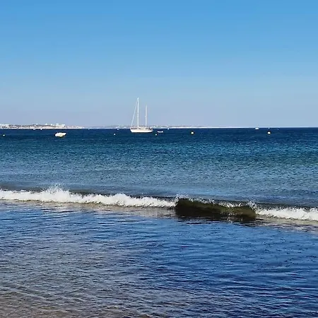 Jasmine Next To Meia